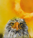 Survivor (click to enlarge in popup)